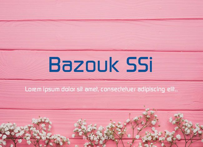 Bazouk SSi example